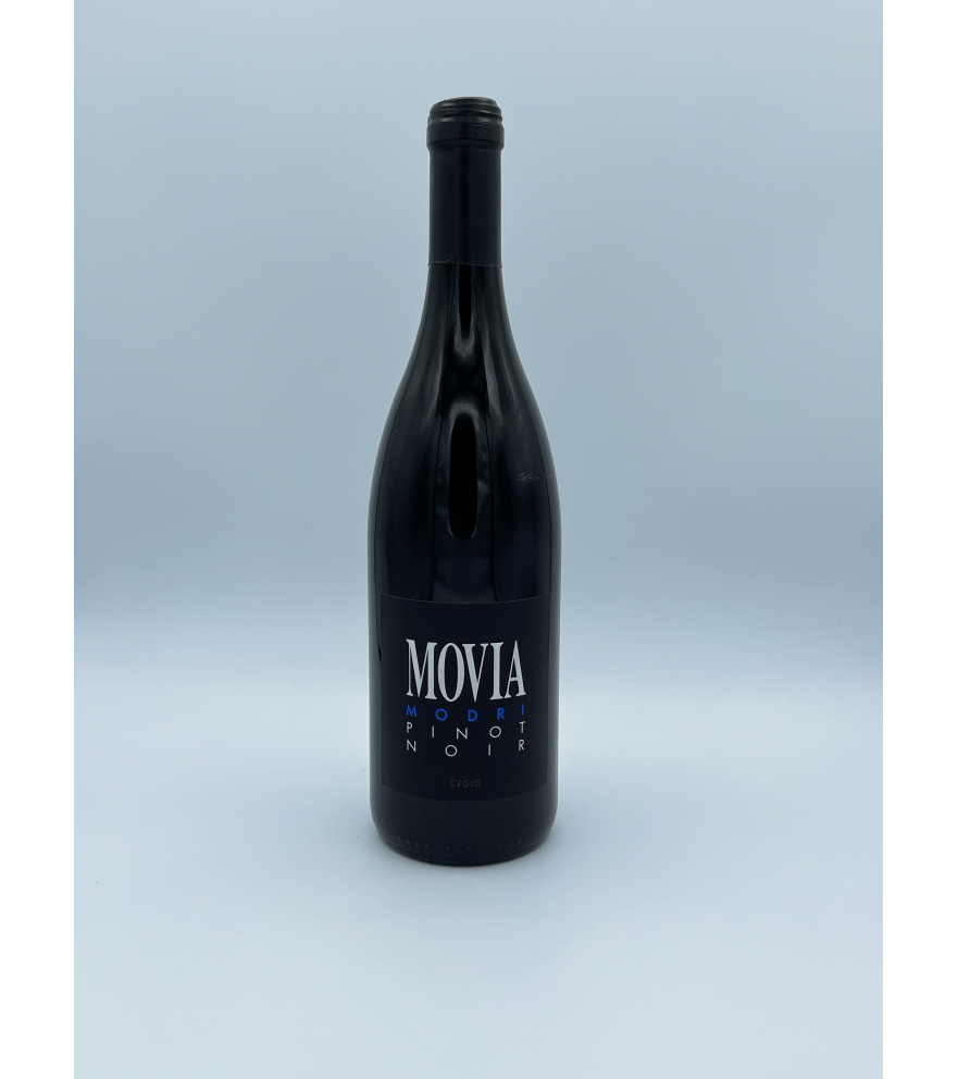 Pinot Nero - Movia